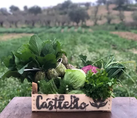 Cassetta Castelbio con verdure miste — carciofi, cavoli, finocchi, cipollotti, erbe aromatiche — direttamente dall'orto biologico
