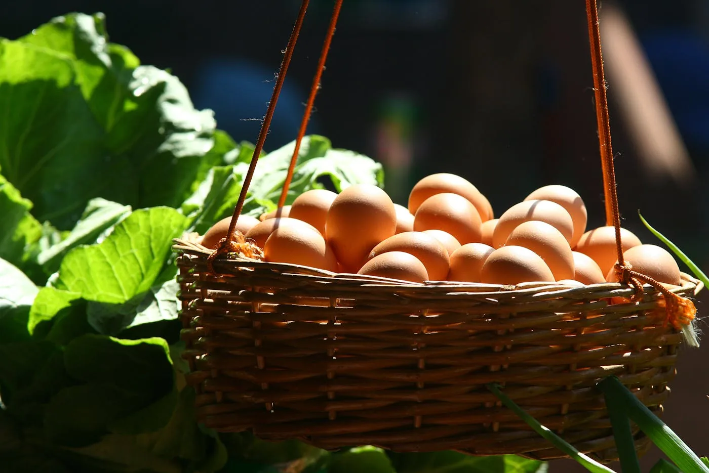 Uova fresche in cestino